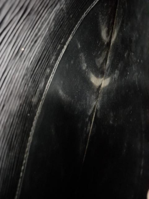 Large Product Preview Image 10